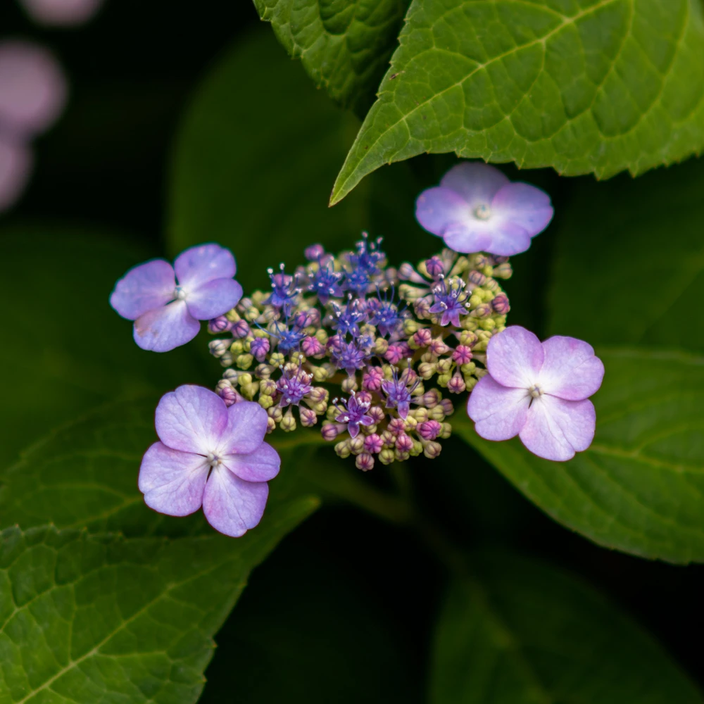 GIF diunggah dening Dmitry