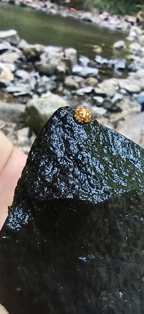 Image ajoutée par Alex