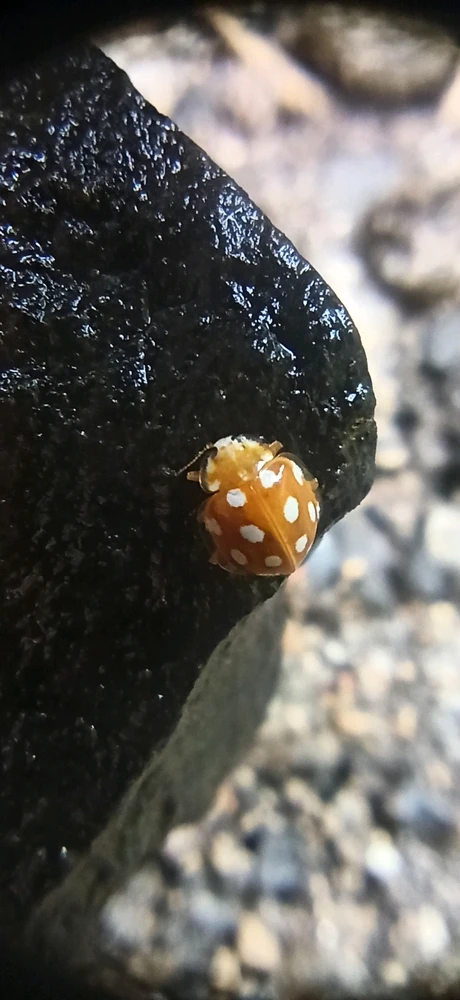 Image ajoutée par Alex