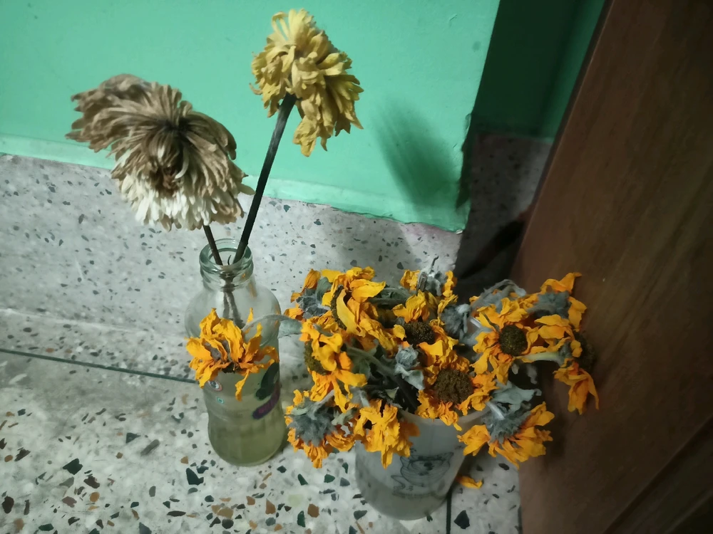 Gambar diunggah dening Sush