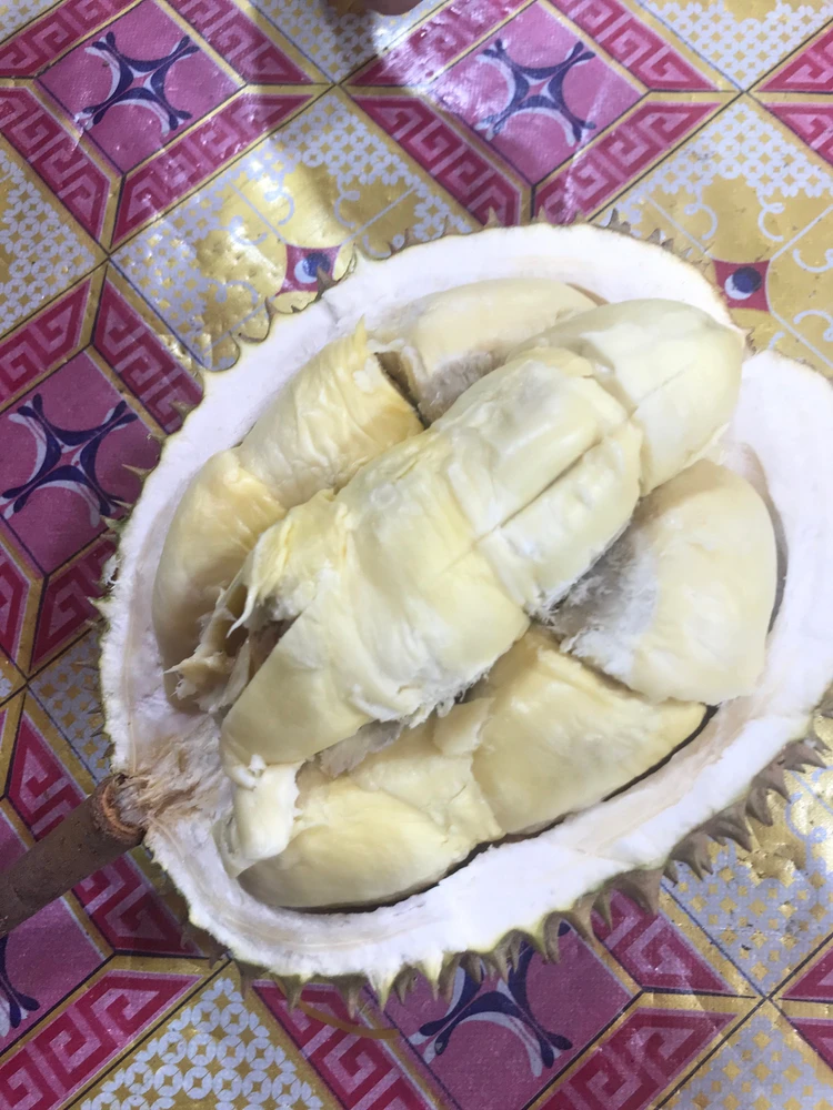 GIF diunggah oleh Xere