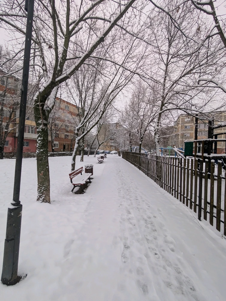 Image uploaded by Ghințan Nicușor Valentin