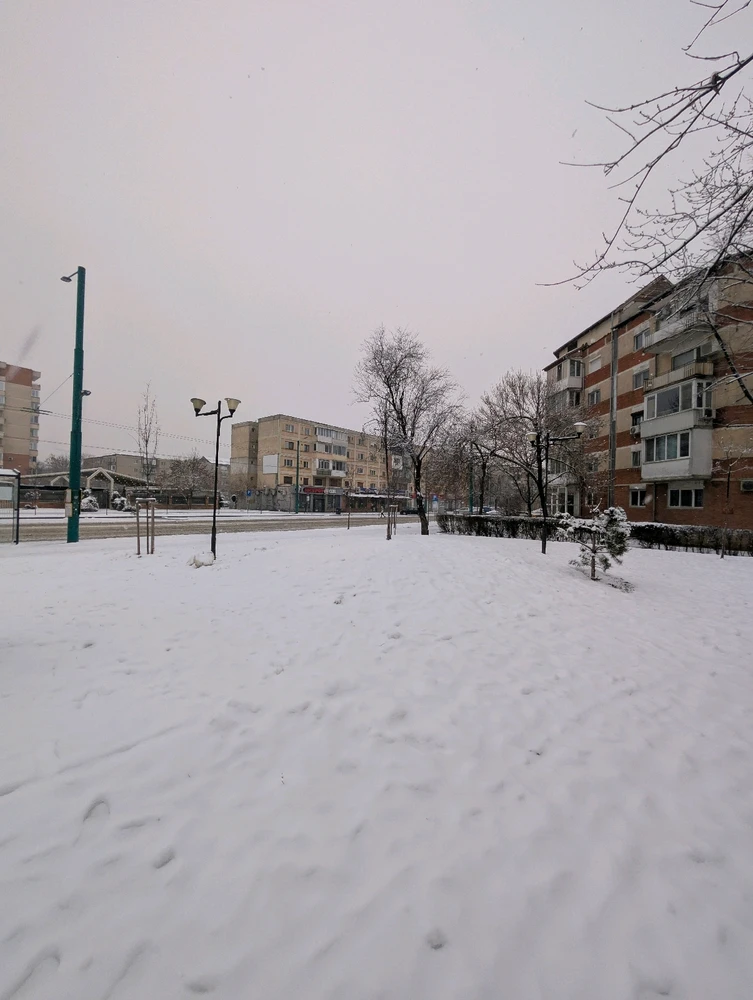 Image uploaded by Ghințan Nicușor Valentin