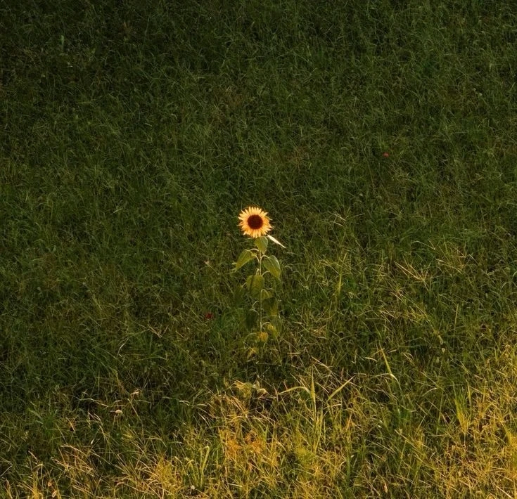 Image uploaded by Mikalob