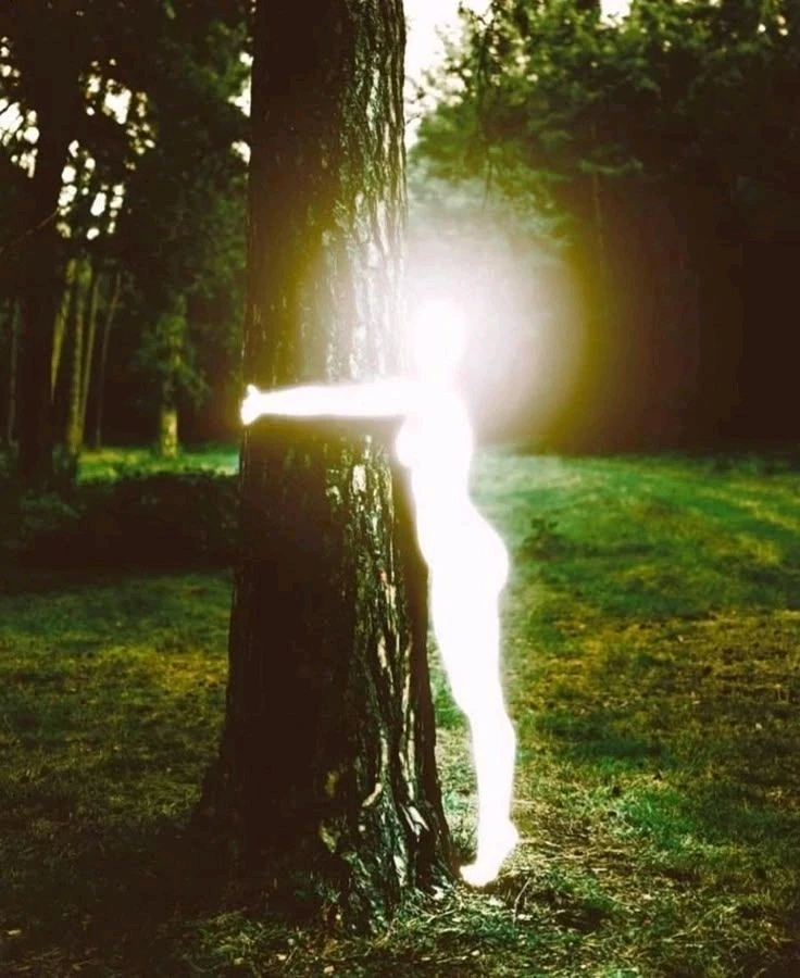 Image uploaded by Mikalob