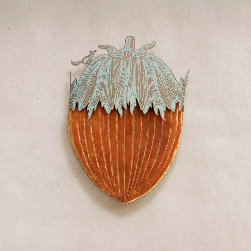 Image ajoutée par Cha