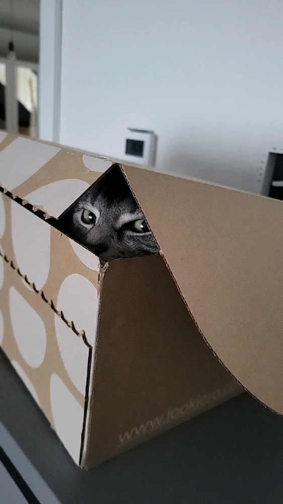 GIF hochgeladen von Melanie