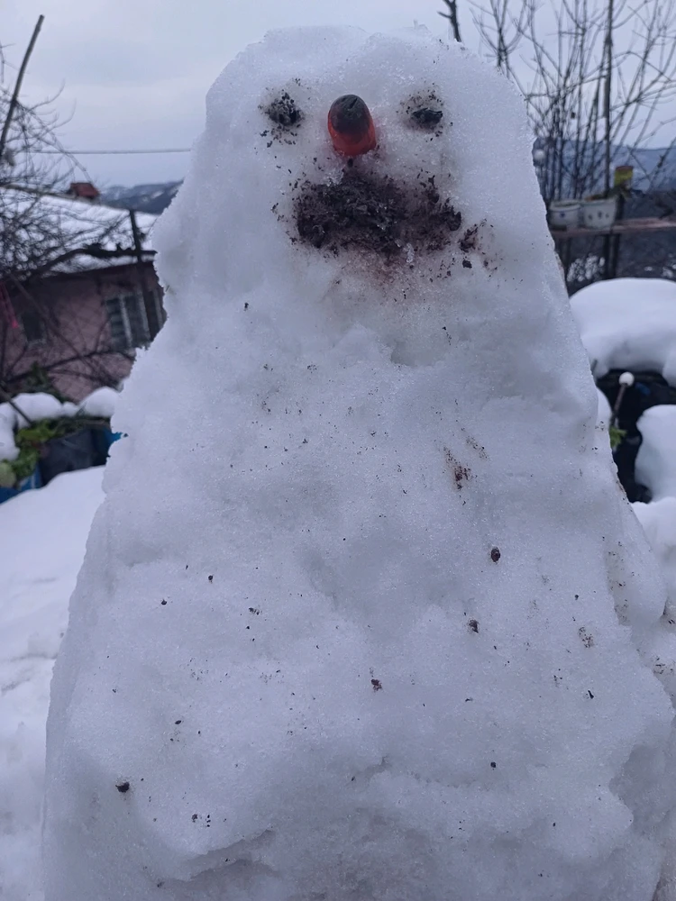 Ayçiçeği tarafından yüklenen görsel