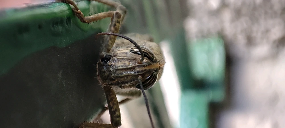 Image ajoutée par Alex