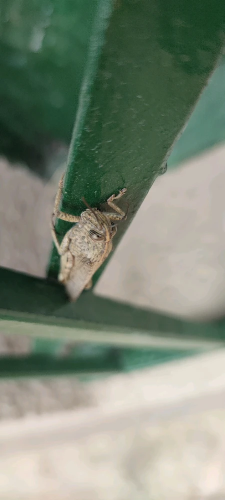 Image ajoutée par Alex