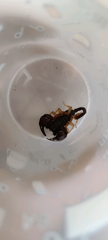 Image ajoutée par Alex