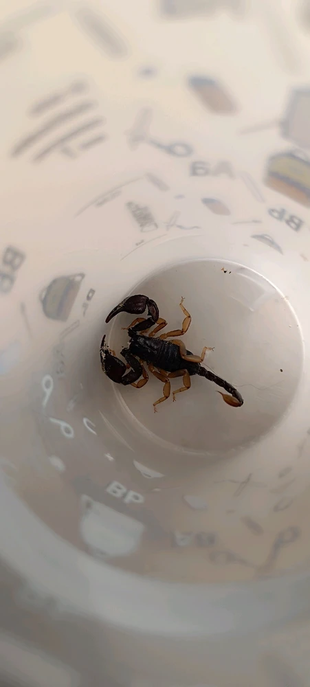 Image ajoutée par Alex