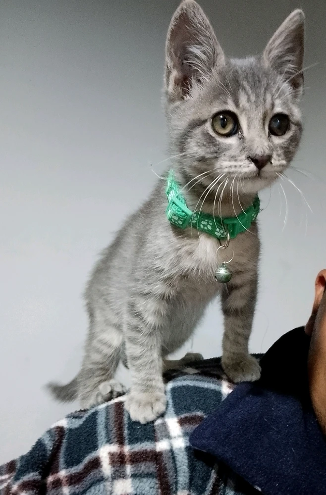 GIF subido por Rubén