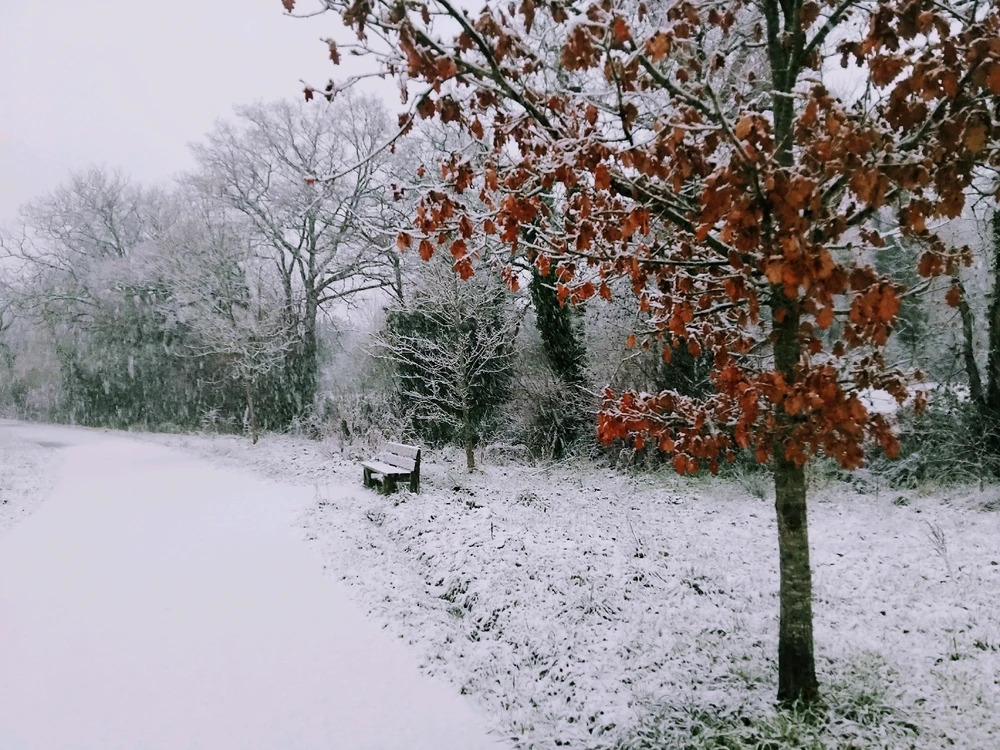 GIF ajouté par Oriane