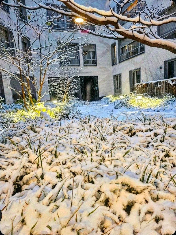 GIF ajouté par Lola