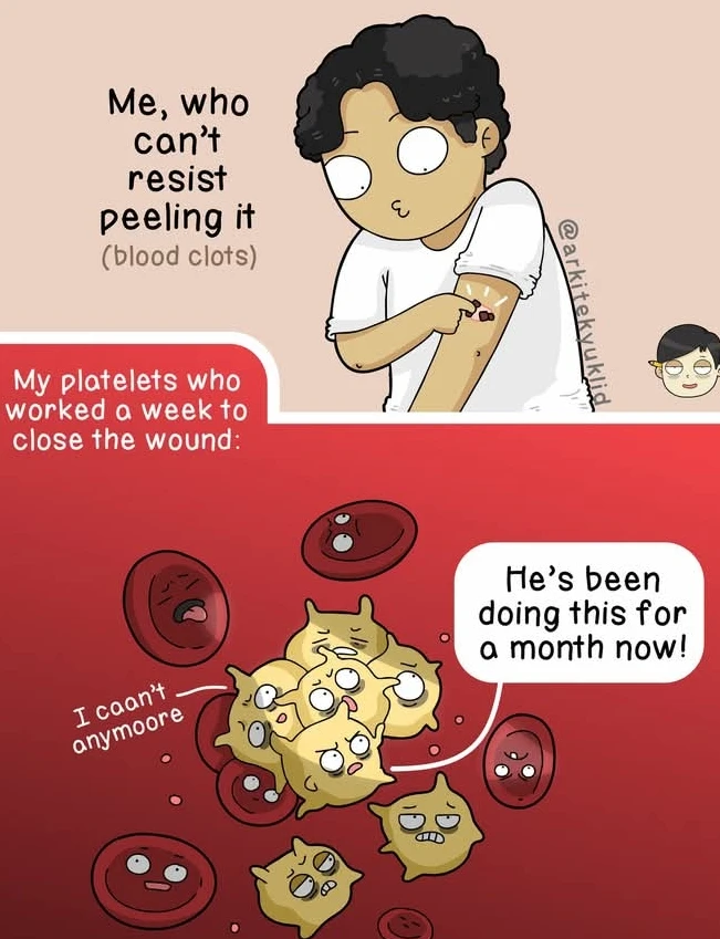 GIF uploaded by WVWVANA