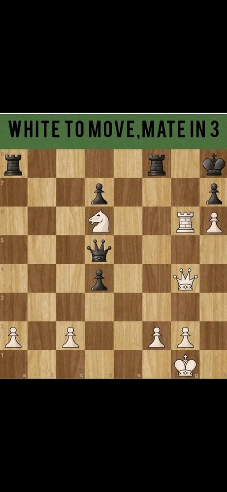 GIF uploaded by Shannon