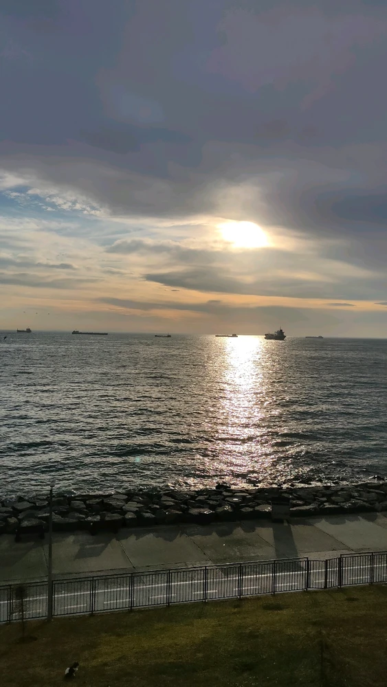 Gambar diunggah dening Yellow