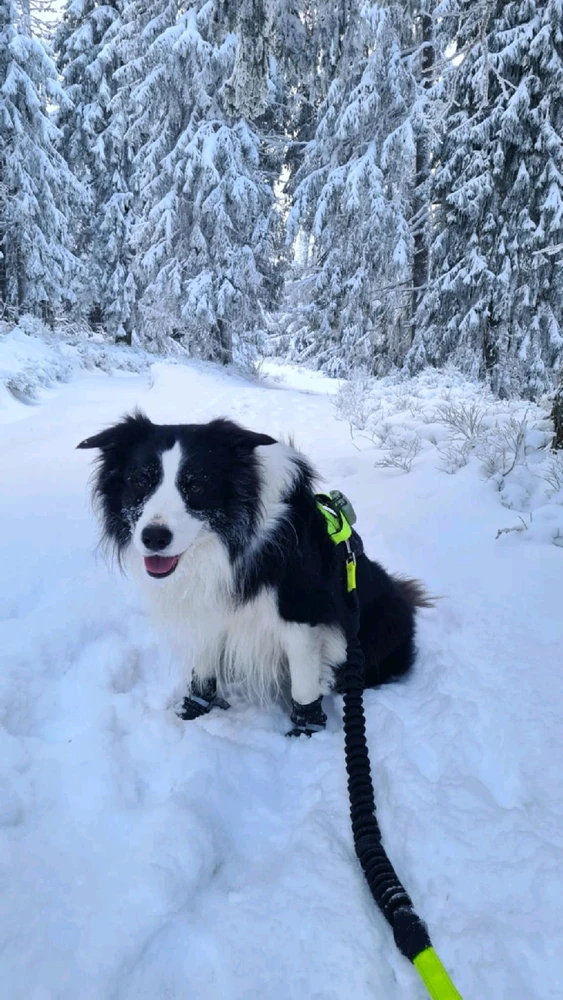 Zdjęcie dodane przez Paweł