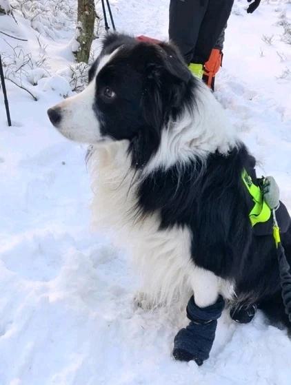 Zdjęcie dodane przez Paweł