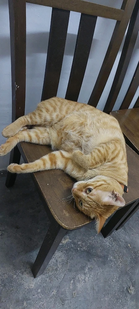 GIF uploaded by Aruzia