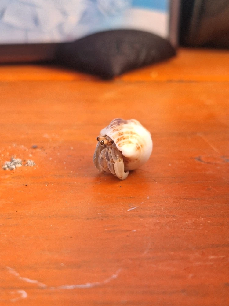 GIF subido por Isaac