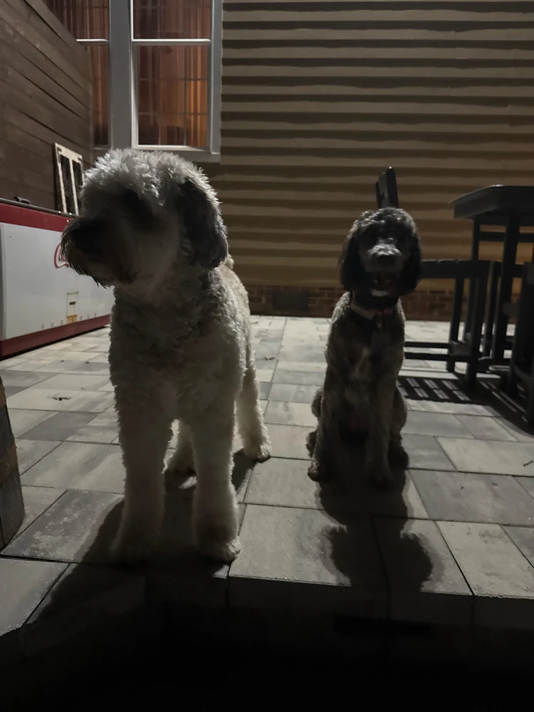 Image uploaded by Nathan