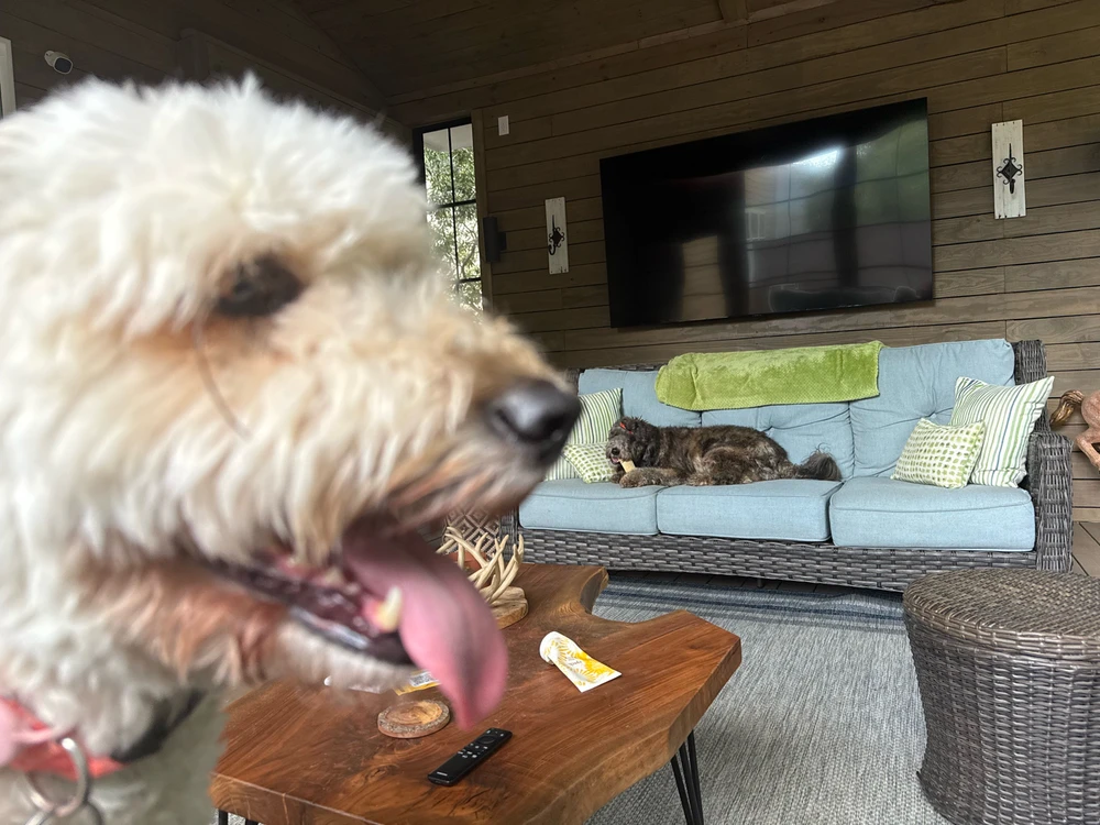 Image uploaded by Nathan