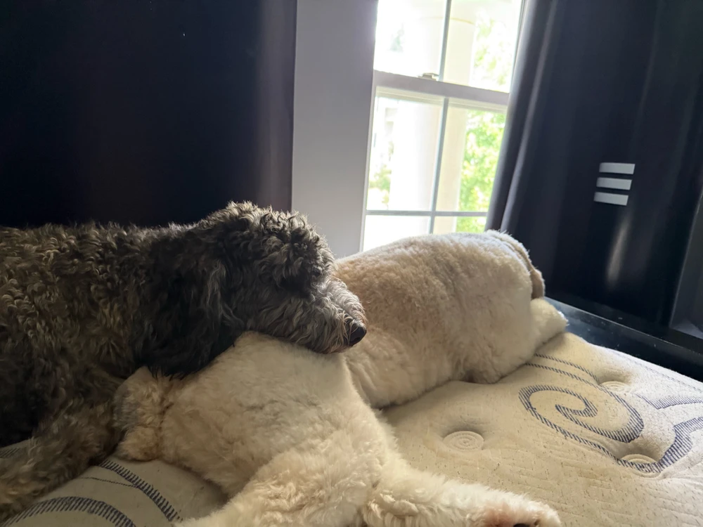 Image uploaded by Nathan