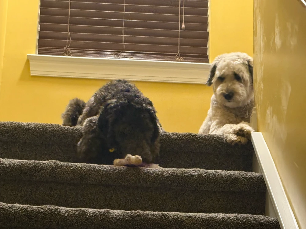 Image uploaded by Nathan