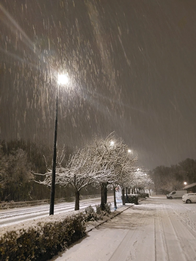 GIF ajouté par MADS