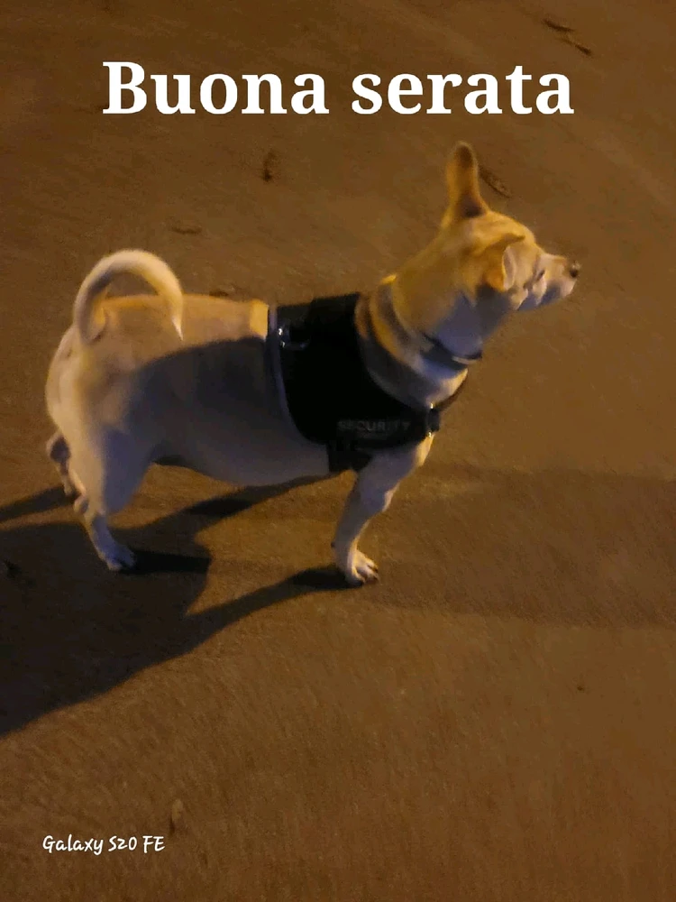 GIF caricata da Luca