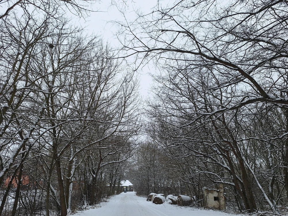 Immagine caricata da Mariaberta