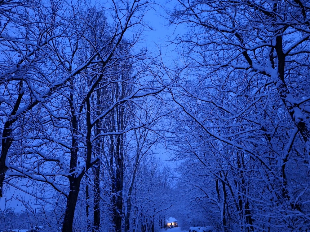 Immagine caricata da Mariaberta