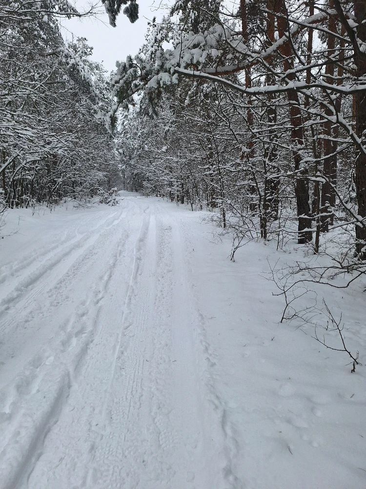 Immagine caricata da Mariaberta