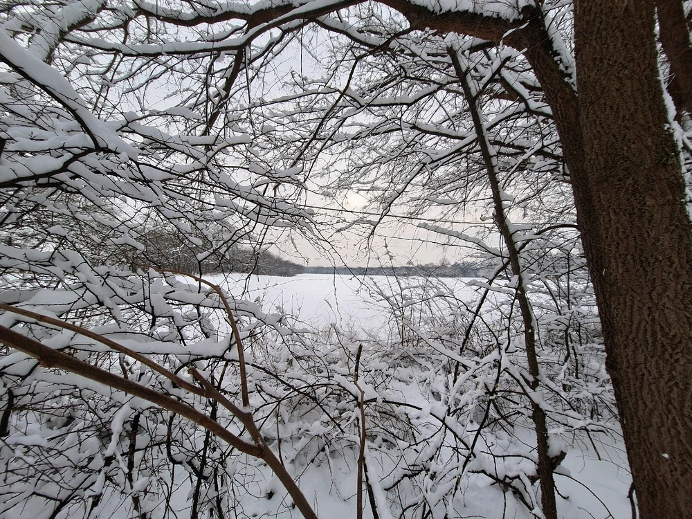 Immagine caricata da Mariaberta