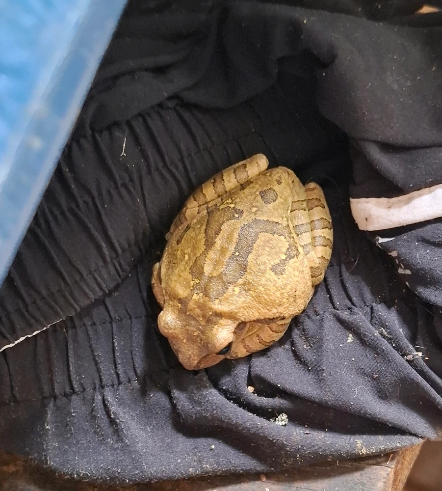 GIF subido por Lucero