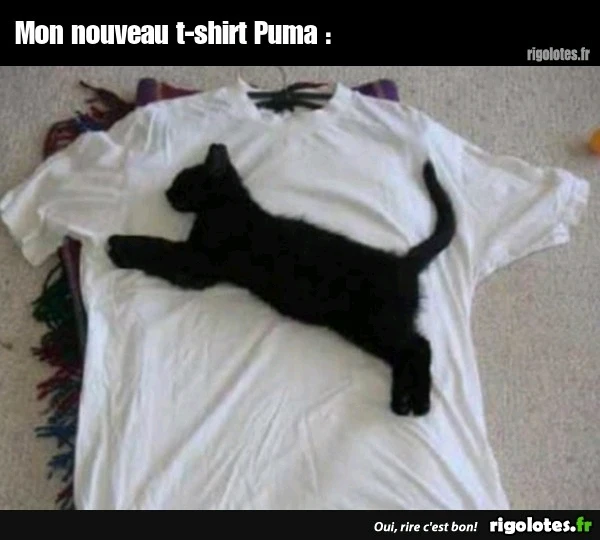 GIF ajouté par Cyrill