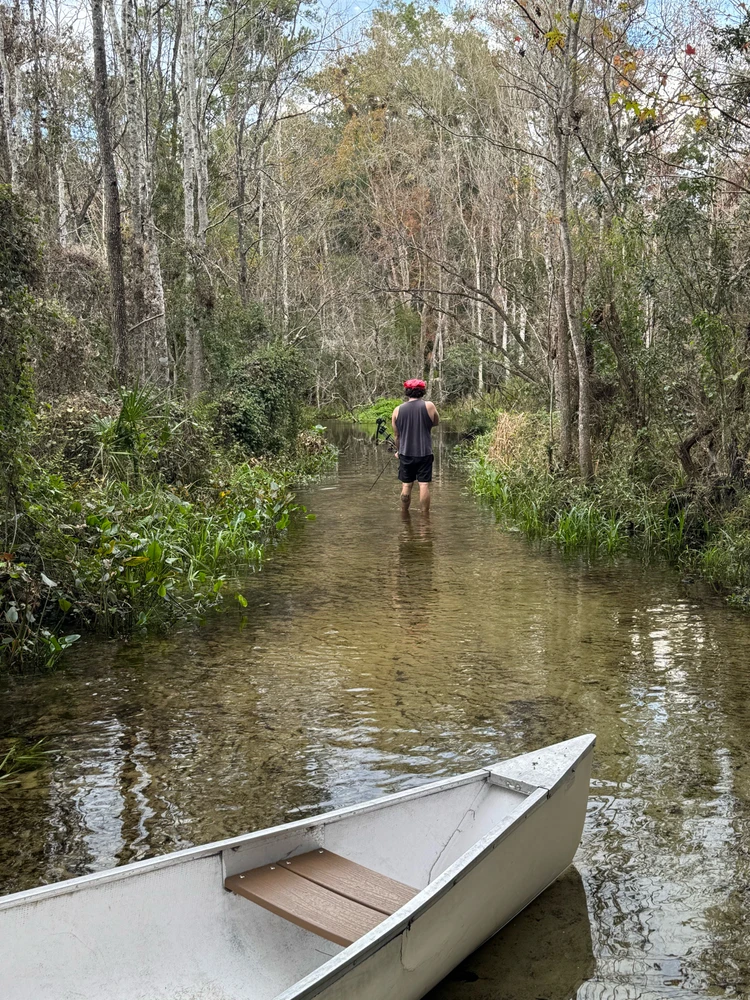 Gambar diunggah dening Jon