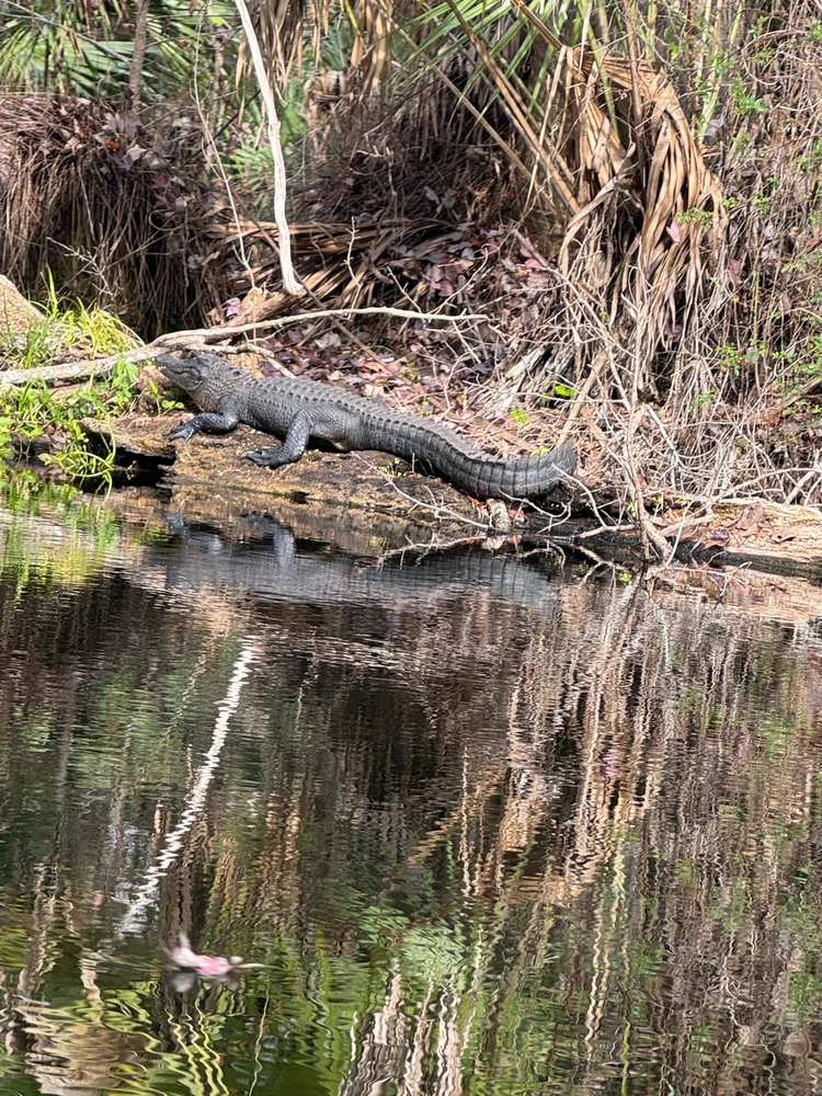 Gambar diunggah dening Jon