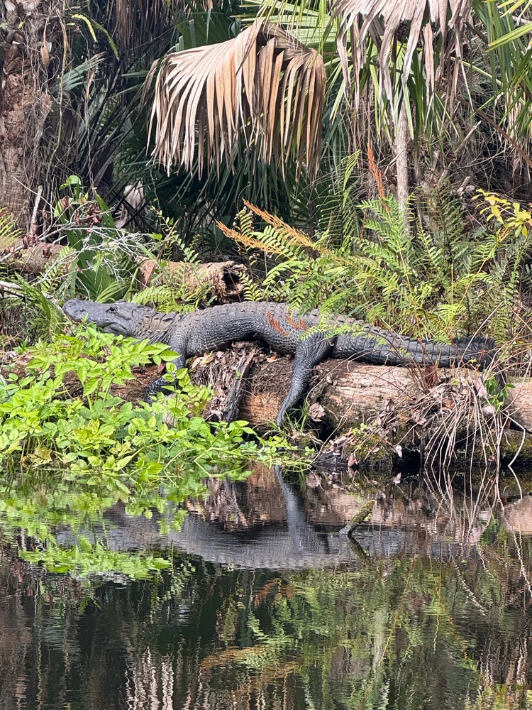 Gambar diunggah dening Jon