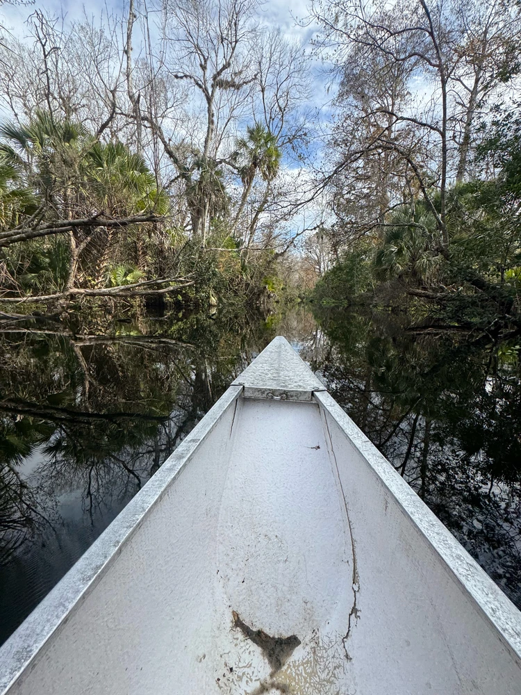 Gambar diunggah dening Jon