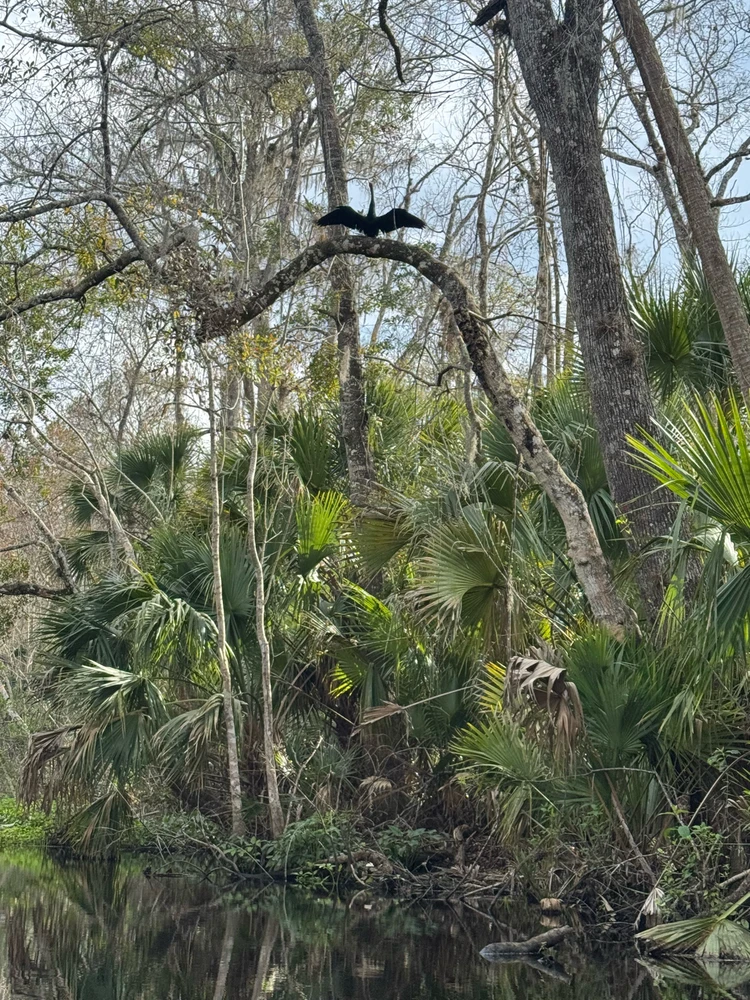 Gambar diunggah dening Jon