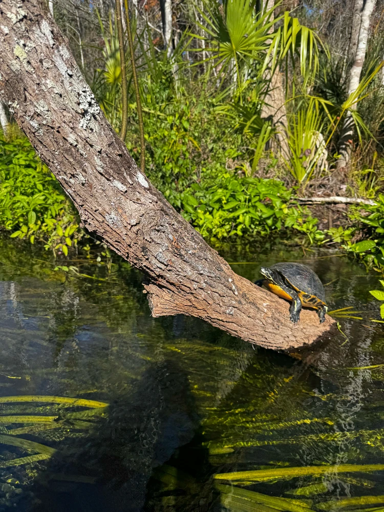 Gambar diunggah dening Jon