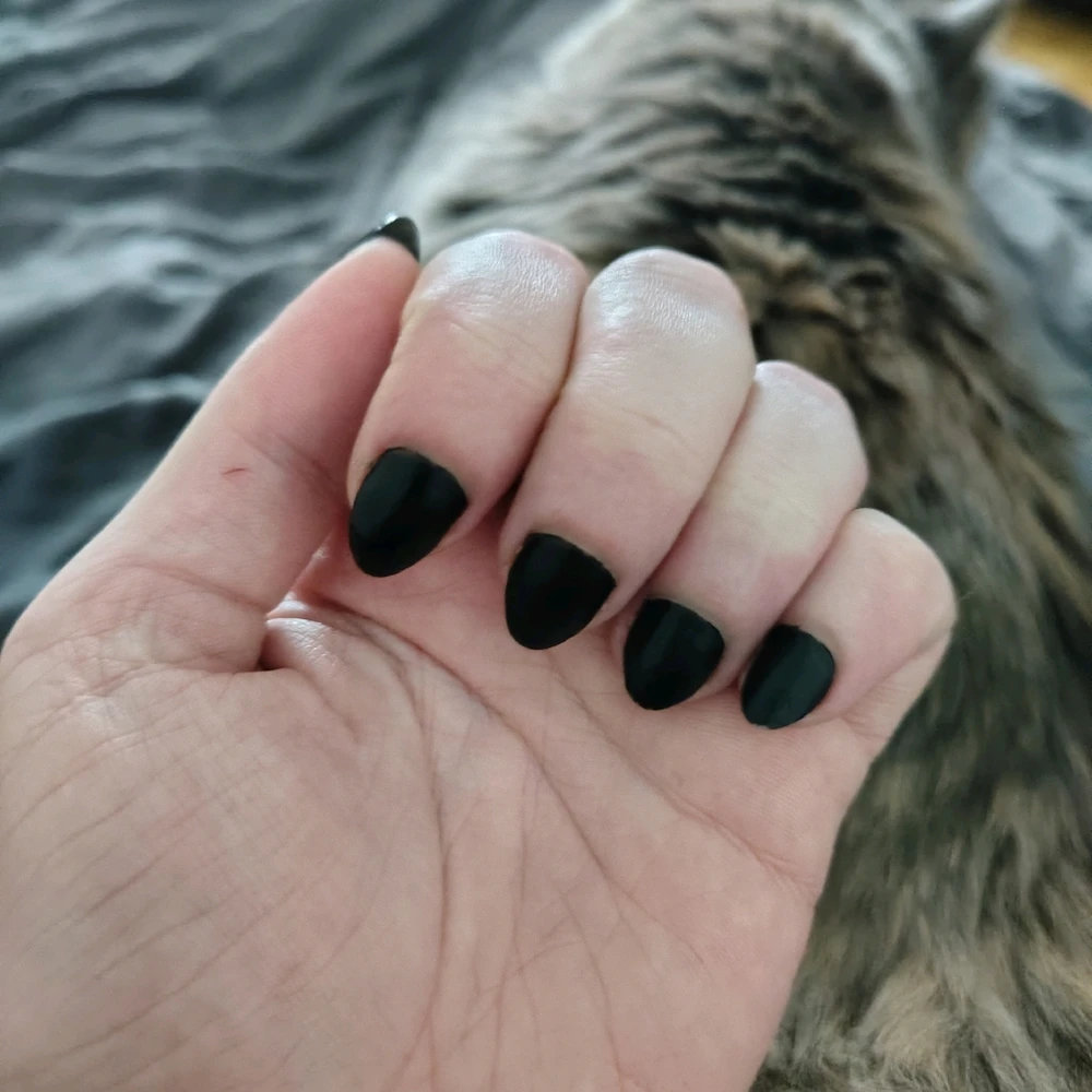 GIF uploaded by Sirius