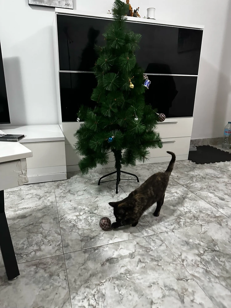 GIF subido por Samuel