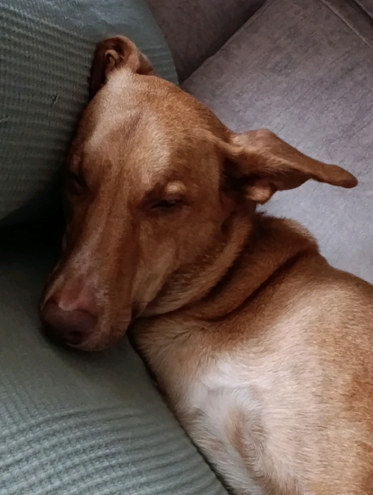 GIF subido por Joaquín