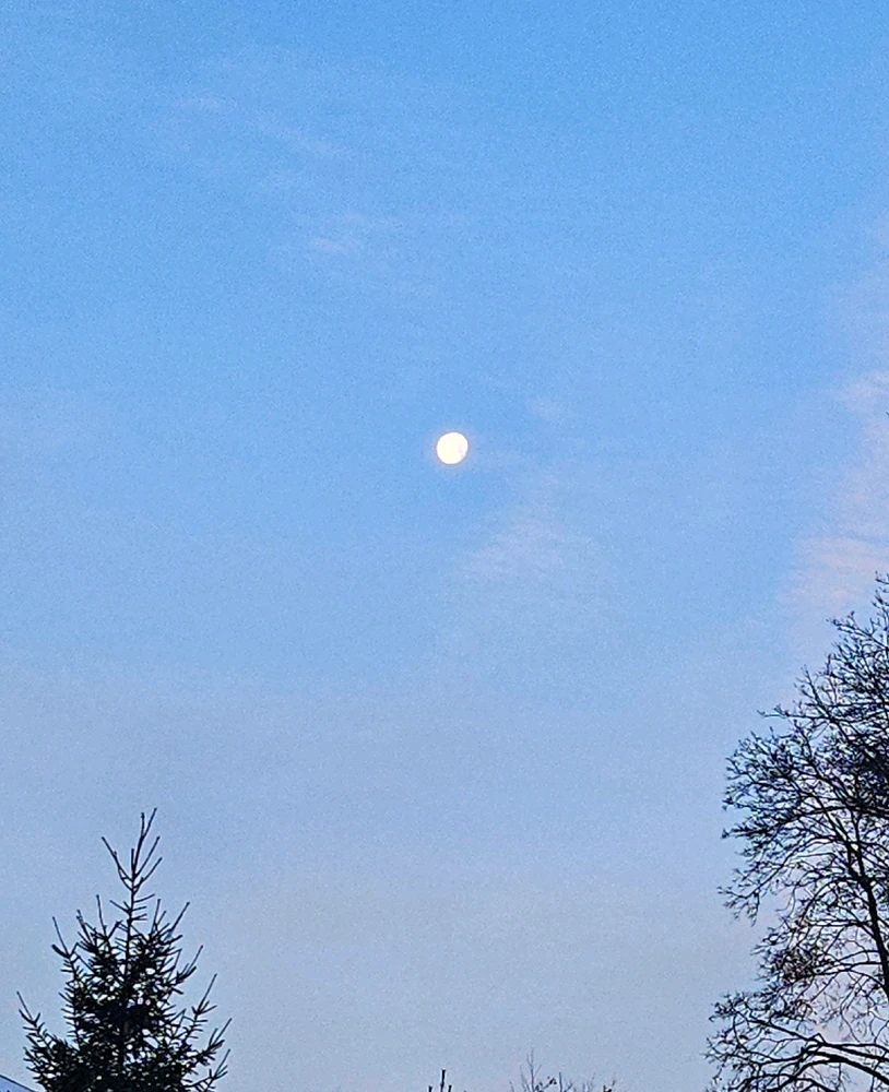 GIF uploaded by Arthur