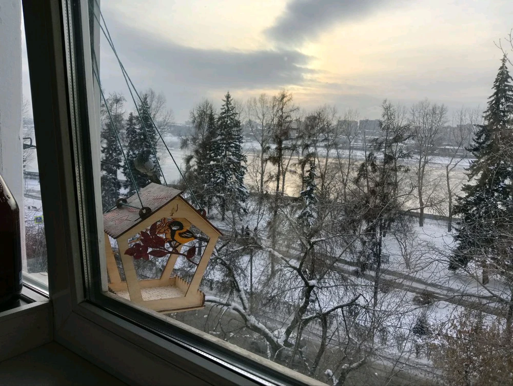 Image uploaded by Enn