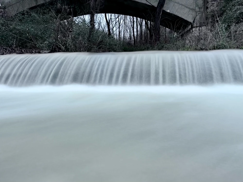 Image uploaded by Michele